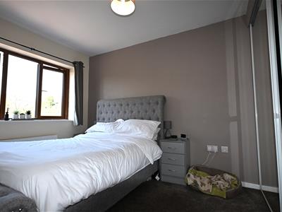 Picture 20